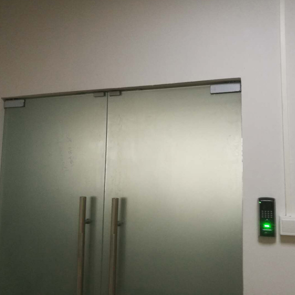 Network System600.jpg