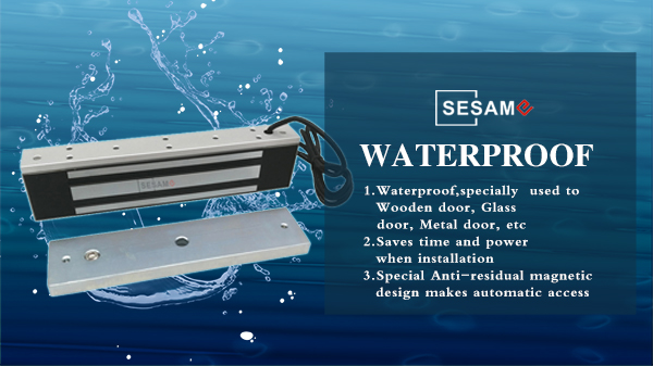 1564219109125317.jpg SM350.jpg