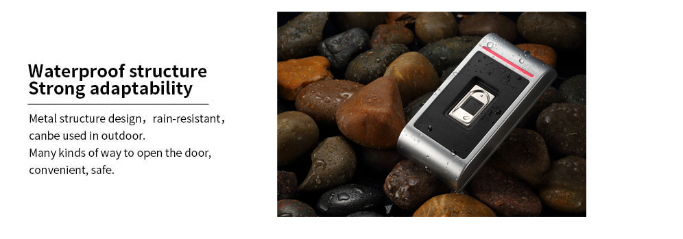 1587453670710540.jpg 2.jpg